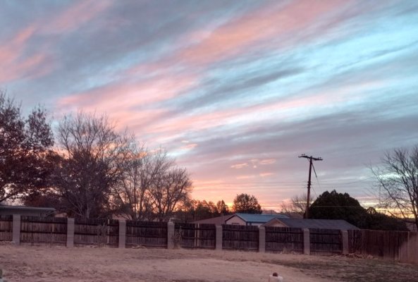 20250125_065118.jpg 20250125_065118.jpg