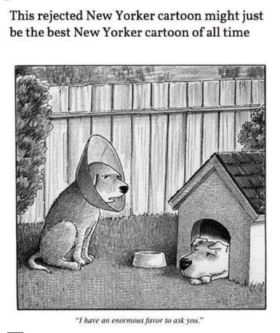 1737827463606.png