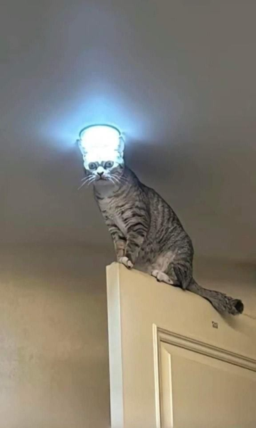 1737829628594.png
