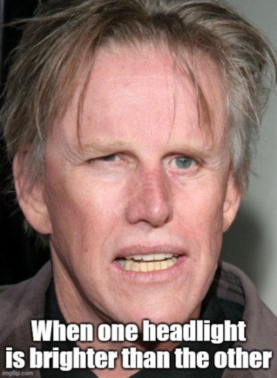 Gary Busey.jpg Gary Busey.jpg