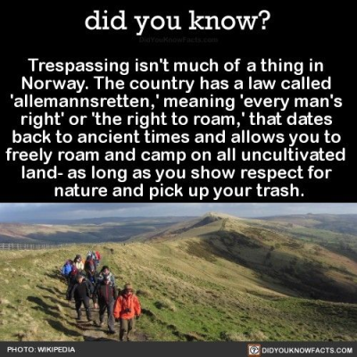 1737858802814.png