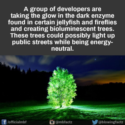 1737916859571.png