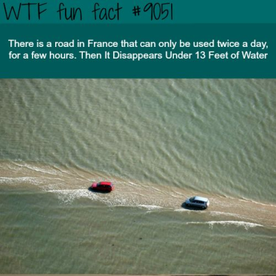 1737988298952.png