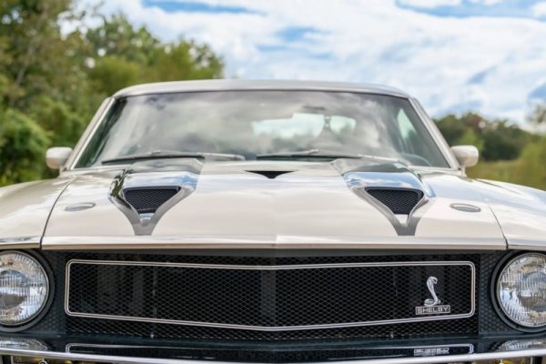 1970-shelby-gt500-survivor-driven-only-six-months-is-a-7k-mile-gem-any-takers_6.jpg