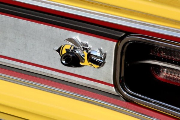 Super-Bee-badge-bjcoving-scaled.jpg