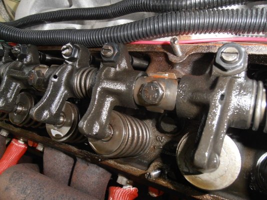 P1010020.JPG P1010020.JPG