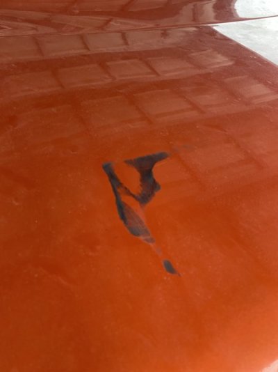 IMG_6618.jpeg IMG_6618.jpeg