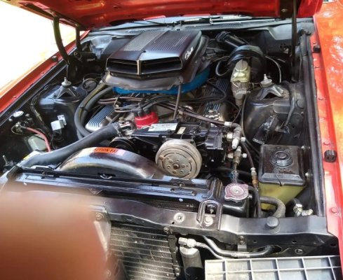 1971_ford_torino_1971_ford_torino_1971_ford_torino_IMG_20240822_152421004-33114-scaled-cydusU-...jpg