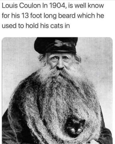1738602758140.png