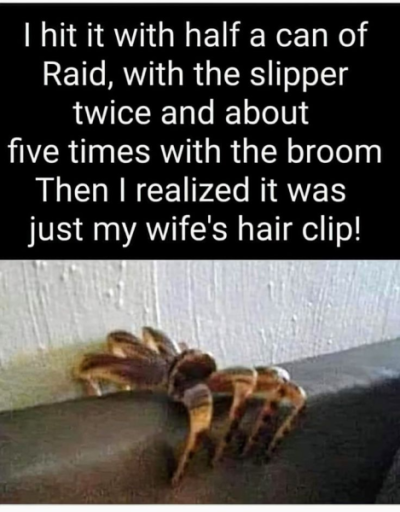 1738643549385.png