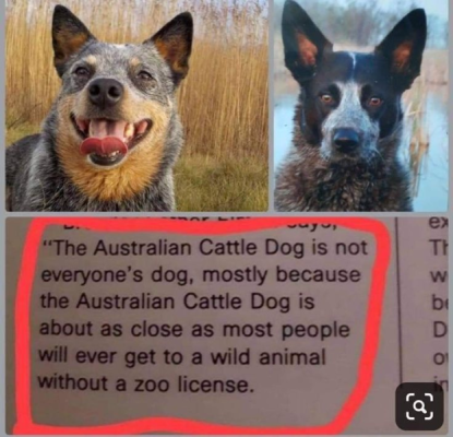 1738832821739.png