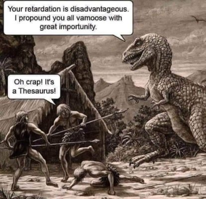 1739016134743.jpeg