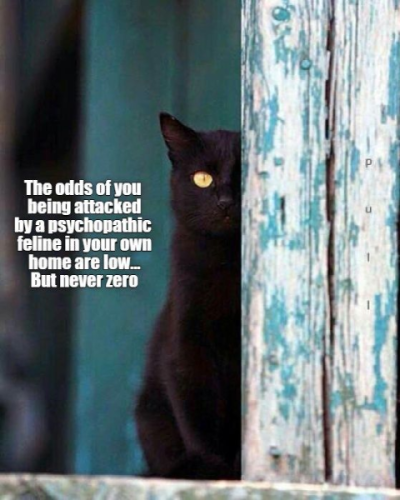 1739120455384.png