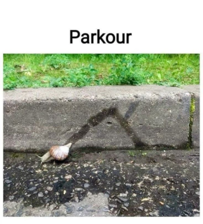 1739121164651.png
