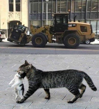 1739121194917.png