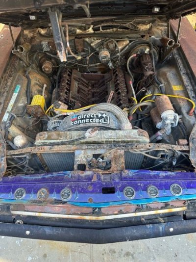 parts-shop-sells-this-dodge-challenger-magazine-car-rain-and-sun-ate-it-alive_38.jpg