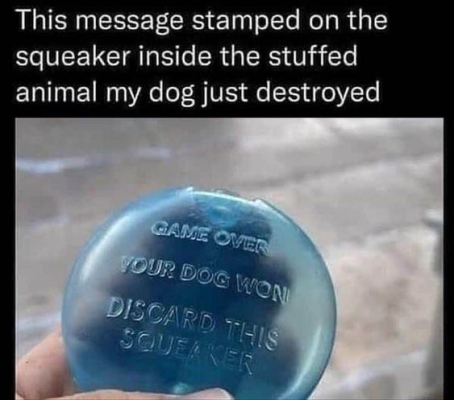 1739339411005.png