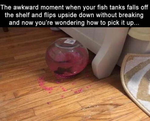 1739339468708.png