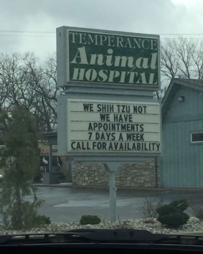 1739355336071.png