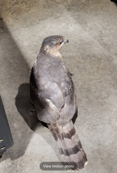 Screenshot_20250213_082330_Gallery.jpg Screenshot_20250213_082330_Gallery.jpg