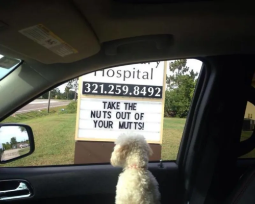 1739542675527.png