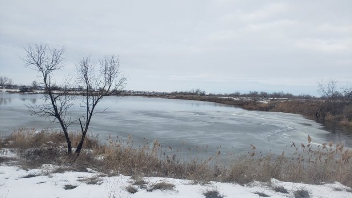 20250215_094659.jpg