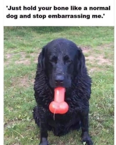 thumbnail (1).jpg