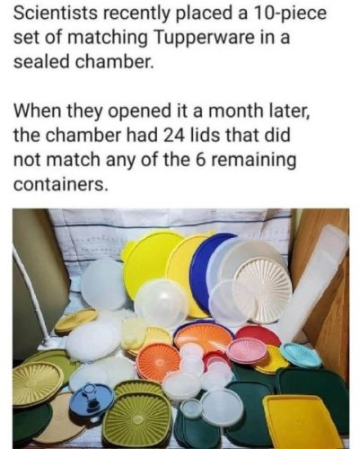 1740221450029.jpeg
