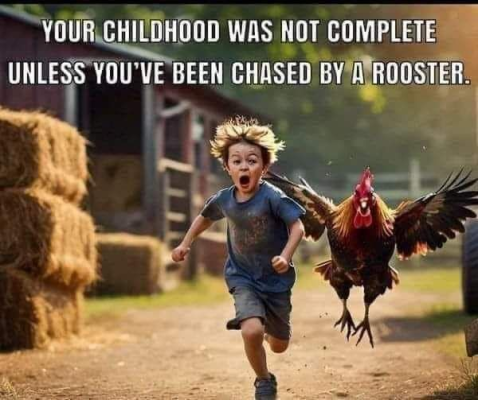1740269261727.png