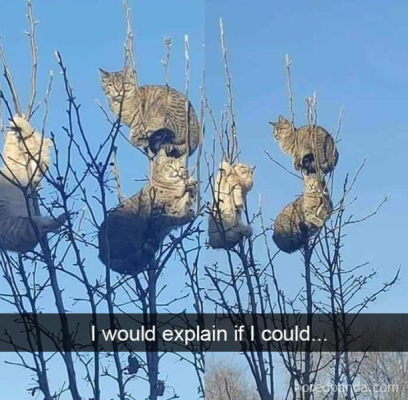 1740434225158.png