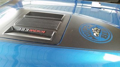 383 Emblem and Hood Insert.jpg