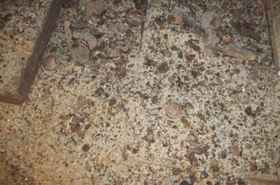 100_3310.jpg 100_3310.jpg