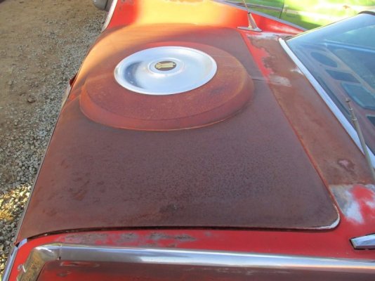 classic-parts-dealer-sells-1959-sport-fury-desert-car-a-dog-jumped-on-the-roof_24.jpg