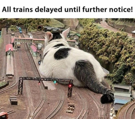 1740942913946.png
