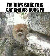 1740958823144.jpeg