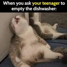 1740959101259.jpeg