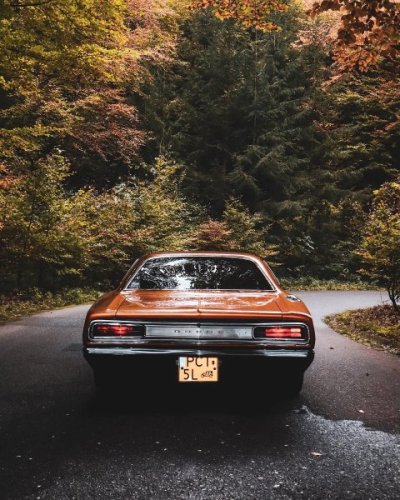 1970-super-bee-viper-lives-the-afterlife-of-dreams-with-an-84-liter-v10-and-it-s-no-cgi_6.jpg