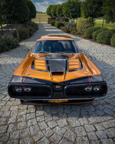 1970-super-bee-viper-lives-the-afterlife-of-dreams-with-an-84-liter-v10-and-it-s-no-cgi_5.jpg