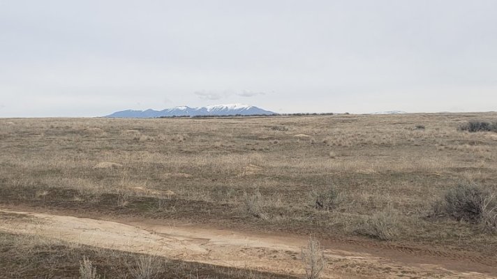 20250305_132510.jpg