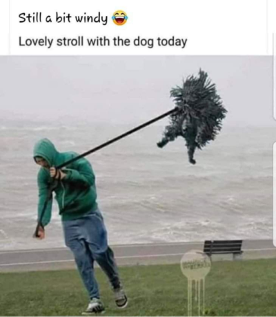 1741288450389.png
