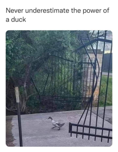 1741290160591.png
