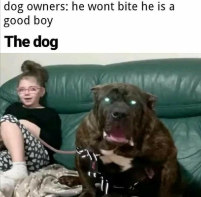1741290427356.png