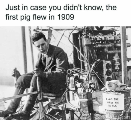 1741383576428.png