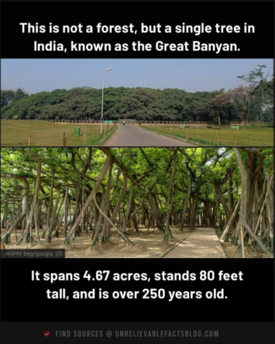 1741808677055.png