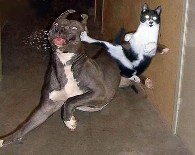 1741936339702.png