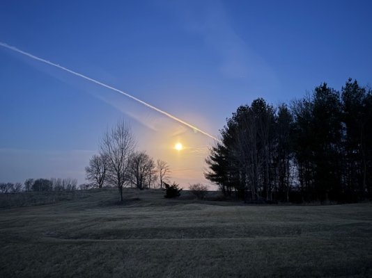 IMG_7655.jpg