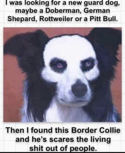 1742066827558.png