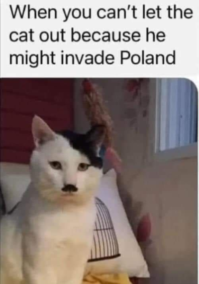 1742067096976.png