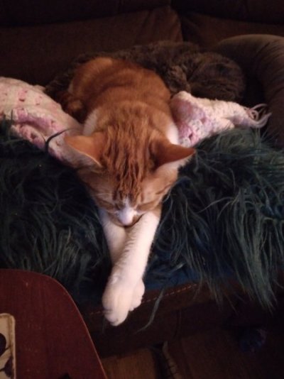 20220108_184046.jpg