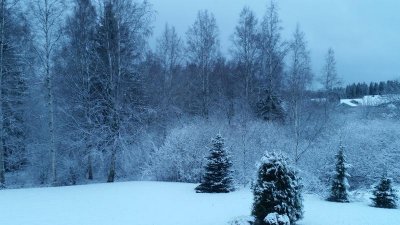 20141213_122600.jpg